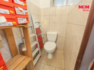 Prodej obchodního prostoru, Slaný, Palackého, 70 m2