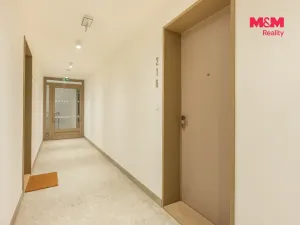 Prodej bytu 1+kk, Brandýs nad Labem-Stará Boleslav, Dřevčická, 65 m2