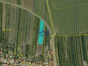 Prodej pozemku pro bydlení, Hroznová Lhota, 3079 m2