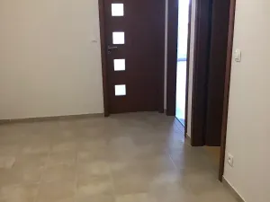 Prodej bytu 2+kk, Plzeň, U Velkého rybníka, 56 m2