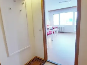 Pronájem bytu 1+kk, Brno, Sevastopolská, 38 m2