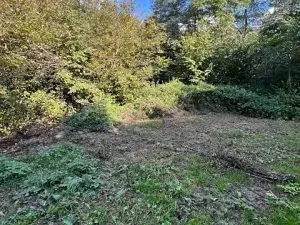 Prodej lesa, Březolupy, 1340 m2