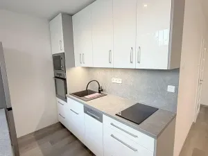 Pronájem bytu 1+kk, Praha, Michnova, 28 m2