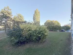 Pronájem bytu 1+kk, Praha, Michnova, 28 m2