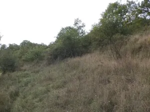 Prodej pole, Řehlovice - Stadice, 22441 m2