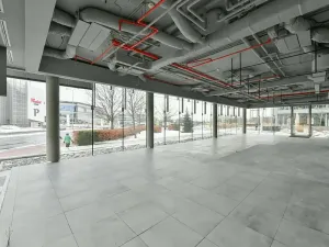 Pronájem kanceláře, Praha - Chodov, V parku, 1340 m2