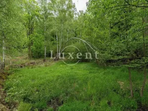 Prodej komerčního pozemku, Lipnice nad Sázavou, 38008 m2