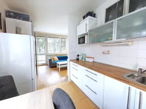 Pronájem bytu 1+1, Čelákovice, Rumunská, 41 m2