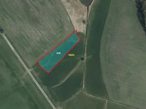 Prodej louky, Kobylice, 3179 m2