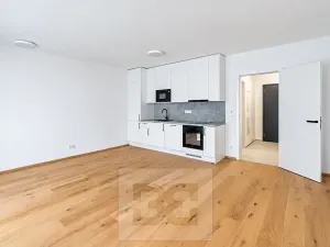 Prodej bytu 1+kk, Praha - Košíře, Starokošířská, 42 m2