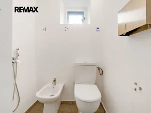 Prodej rodinného domu, Žabonosy, 238 m2