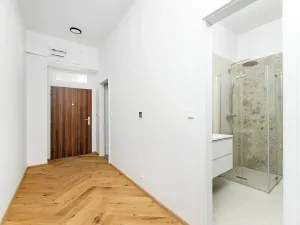 Prodej bytu 2+kk, Praha - Vinohrady, Bělehradská, 45 m2