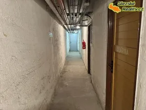 Prodej bytu 2+1, Havířov, Na Nábřeží, 53 m2
