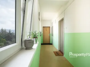 Prodej bytu 2+kk, Děčín - Děčín II-Nové Město, El. Krásnohorské, 48 m2