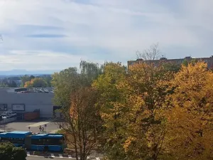 Prodej bytu 3+1, Ostrava, Polská, 62 m2
