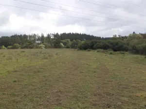 Prodej pole, Tachov, 3504 m2