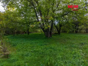 Prodej pozemku pro bydlení, Zdechovice, 978 m2