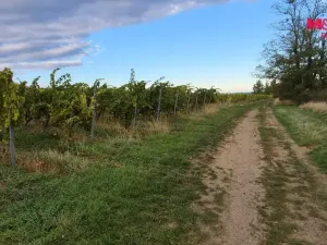Prodej pole, Bzenec, 2653 m2