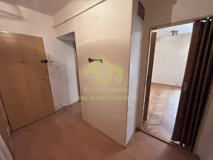 Pronájem bytu 2+kk, Plzeň, Francouzská třída, 36 m2