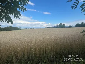 Prodej pozemku pro bydlení, Bezděkov, 633 m2