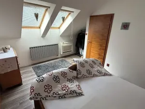 Prodej rodinného domu, Brno, Gargulákova, 417 m2
