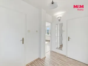 Pronájem rodinného domu, Dolní Beřkovice, Dolní hájek, 100 m2