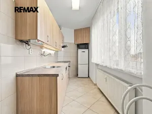 Prodej bytu 1+1, Plzeň, Revoluční, 40 m2