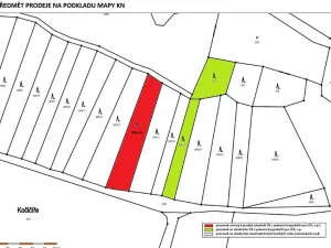Prodej lesa, Radkovice u Budče, 1549 m2