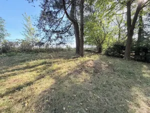 Prodej chaty, Borová, 53 m2