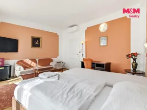 Prodej ubytování, Mladá Boleslav - Mladá Boleslav II, Českobratrské náměstí, 961 m2