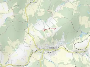 Dražba lesa, Bojkovice, 420 m2