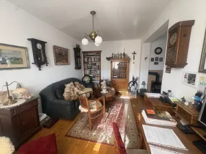 Prodej rodinného domu, Mladá Boleslav, Nádražní, 450 m2