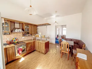 Prodej vícegeneračního domu, Teplice, Doubravská, 430 m2