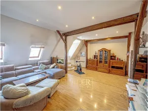 Prodej vícegeneračního domu, Teplice, Doubravská, 430 m2