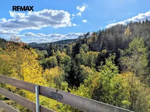 Prodej chaty, Věžná, 55 m2