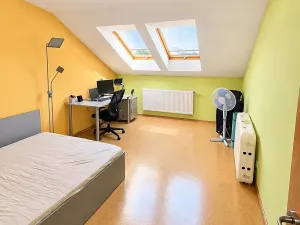 Prodej vícegeneračního domu, Plzeň, 28. října, 983 m2