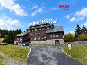 Prodej bytu 1+kk, Loučná nad Desnou - Kouty nad Desnou, 39 m2