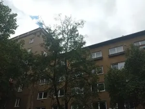 Prodej bytu 2+1, Most, tř. Budovatelů, 66 m2