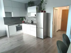 Pronájem bytu 1+kk, Kladno, 36 m2