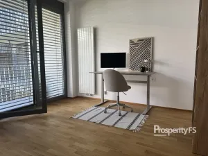 Pronájem bytu 3+kk, Ostrava - Moravská Ostrava, Dlouhá, 87 m2