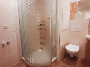 Pronájem bytu 2+kk, Litoměřice, Revoluční, 42 m2