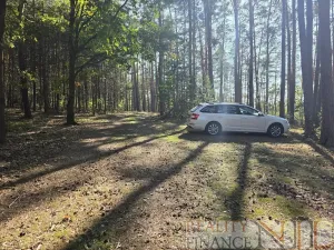Prodej chaty, Pňovany, 54 m2