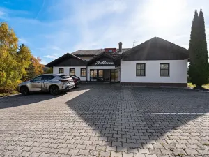 Prodej bytu 2+kk, Bayerisch Eisenstein, Německo, Brennesstraße, 51 m2