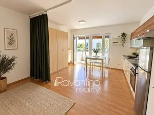 Pronájem bytu 1+kk, Brno, Vomáčkova, 36 m2
