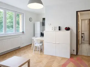 Prodej bytu 2+kk, Praha - Holešovice, U staré plynárny, 43 m2