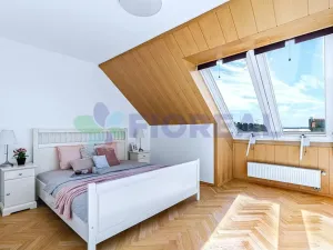 Pronájem bytu 5+1, Praha - Vinohrady, Kladská, 230 m2