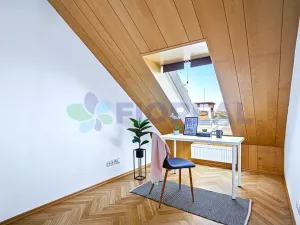 Pronájem bytu 5+1, Praha - Vinohrady, Kladská, 230 m2