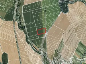 Prodej pole, Rájec-Jestřebí, 11159 m2