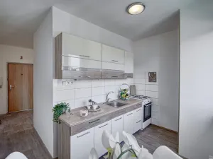 Pronájem bytu 2+1, Most, Jaroslava Vrchlického, 55 m2