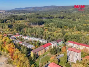Prodej bytu 3+1, Mariánské Lázně - Úšovice, Mánesova, 63 m2